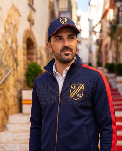 David Villa
